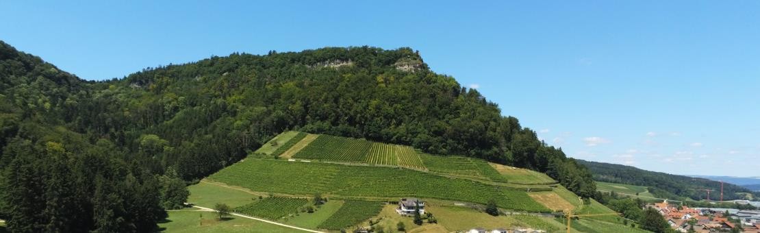 Der Villiger Hausberg mit der Ruine